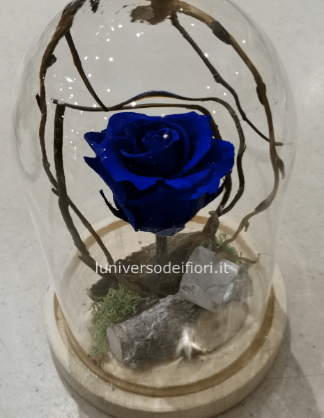 rosa eterna nella campana stile la bella e la bestia altezza 25 cm disponibile vari colori