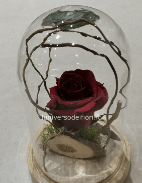 rosa eterna nella campana stile la bella e la bestia altezza 30 cm vari colori