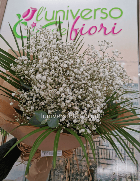 Mazzo di nebbiolina bianca