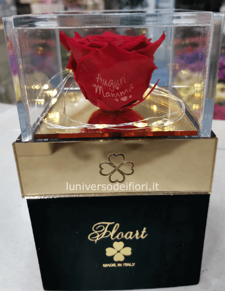 rosa stabilizzata con dedica auguri mamma misura 10x10