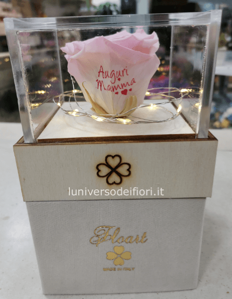 rosa stabilizzata con dedica auguri mamma misura 10x10