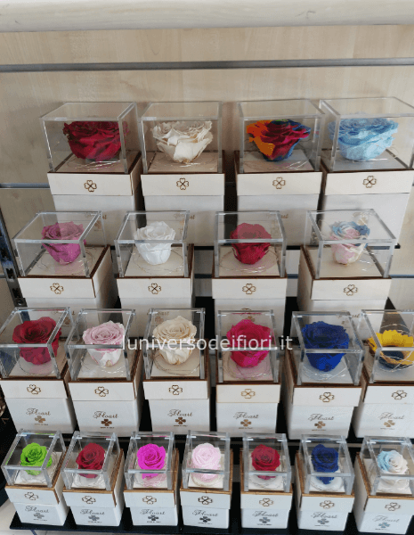 rosa stabilizzata misura cm6x6x8h indicare colore preferito nelle note