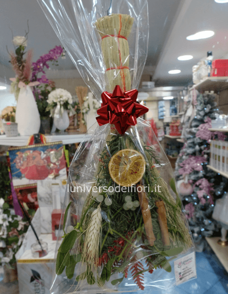 Vischio portafortuna