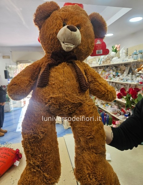 Peluche 100 cm 60 euro disponibilità colori bianco bele e marrone contattre per disponibilità 