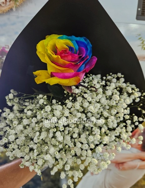 Rosa arcobaleno 19,99 euro